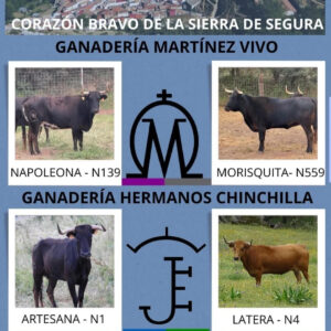 TOROS SANTIAGO DE LA ESPADA 26 JULIO 2025