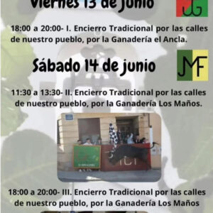 TOROS SOBRADIEL 14 JUNIO 2025