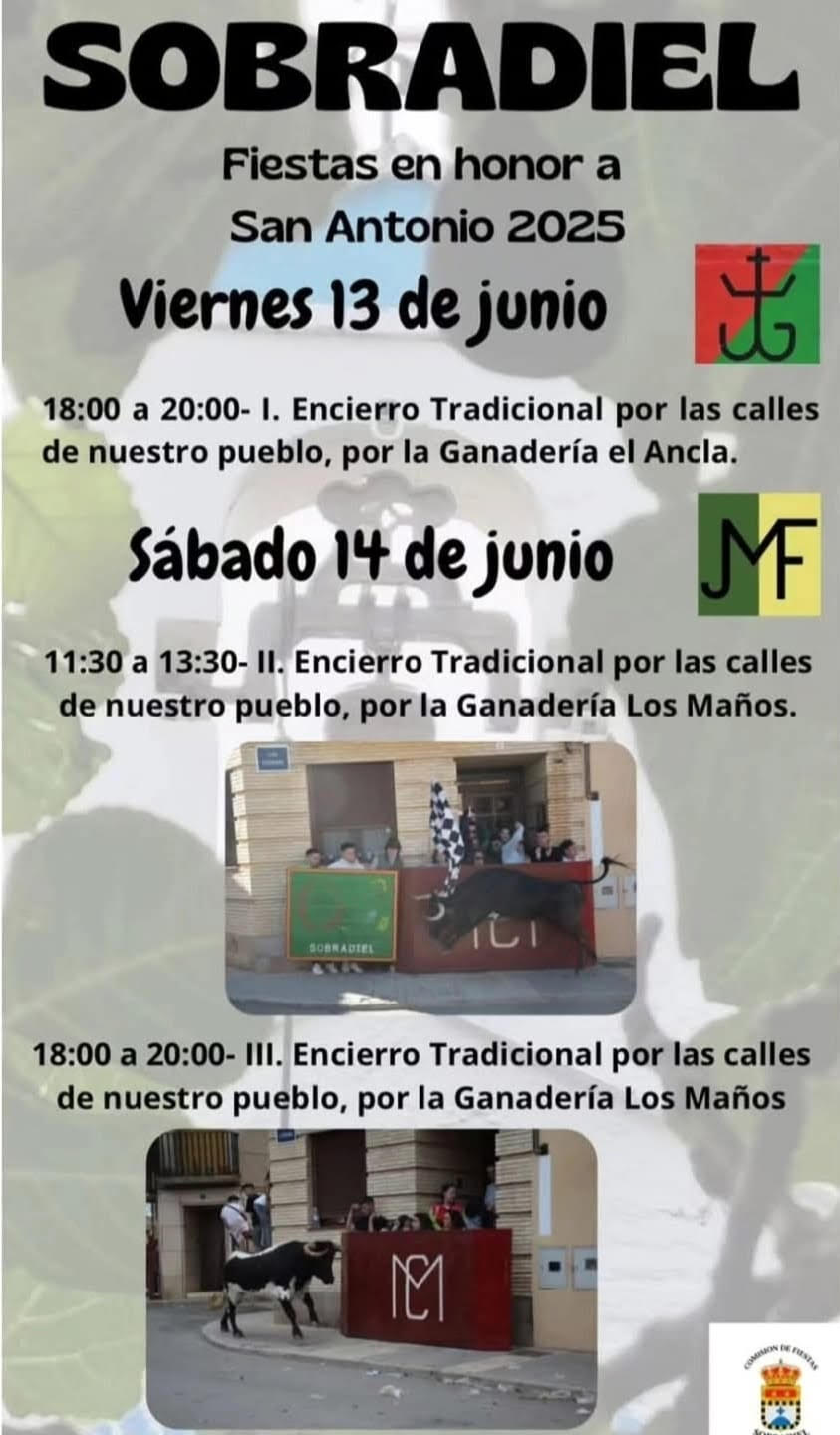 TOROS SOBRADIEL 14 JUNIO 2025