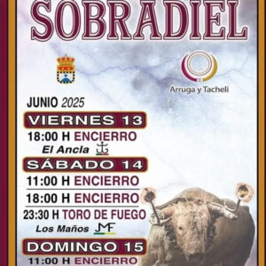 TOROS SOBRADIEL DEL 13 AL 15 JUNIO 2025