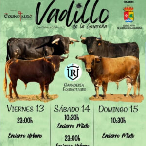 "TOROS VADILLO DE LA GUARENA DEL 13 AL 15 JUNIO 2025"