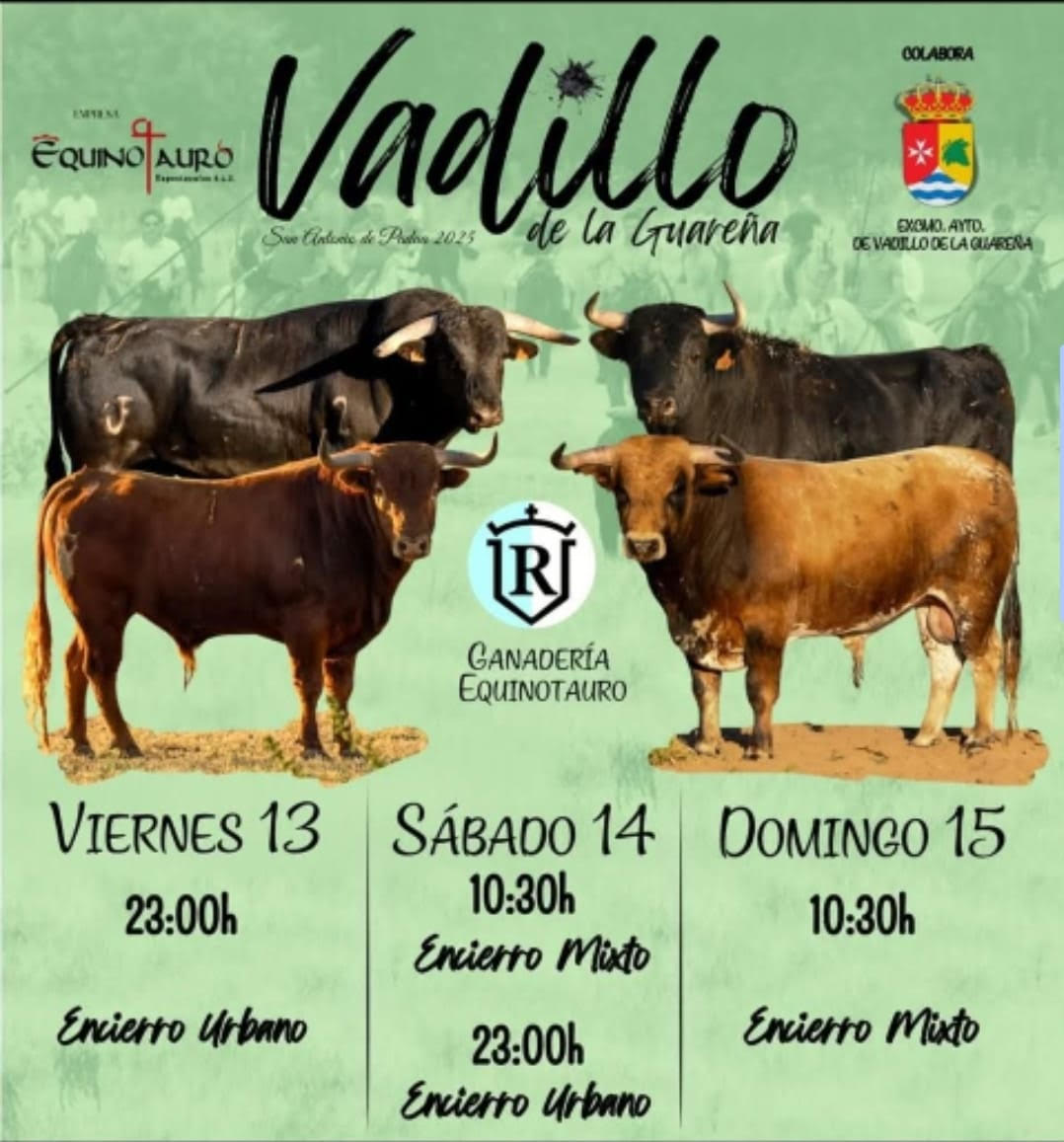 "TOROS VADILLO DE LA GUARENA DEL 13 AL 15 JUNIO 2025"