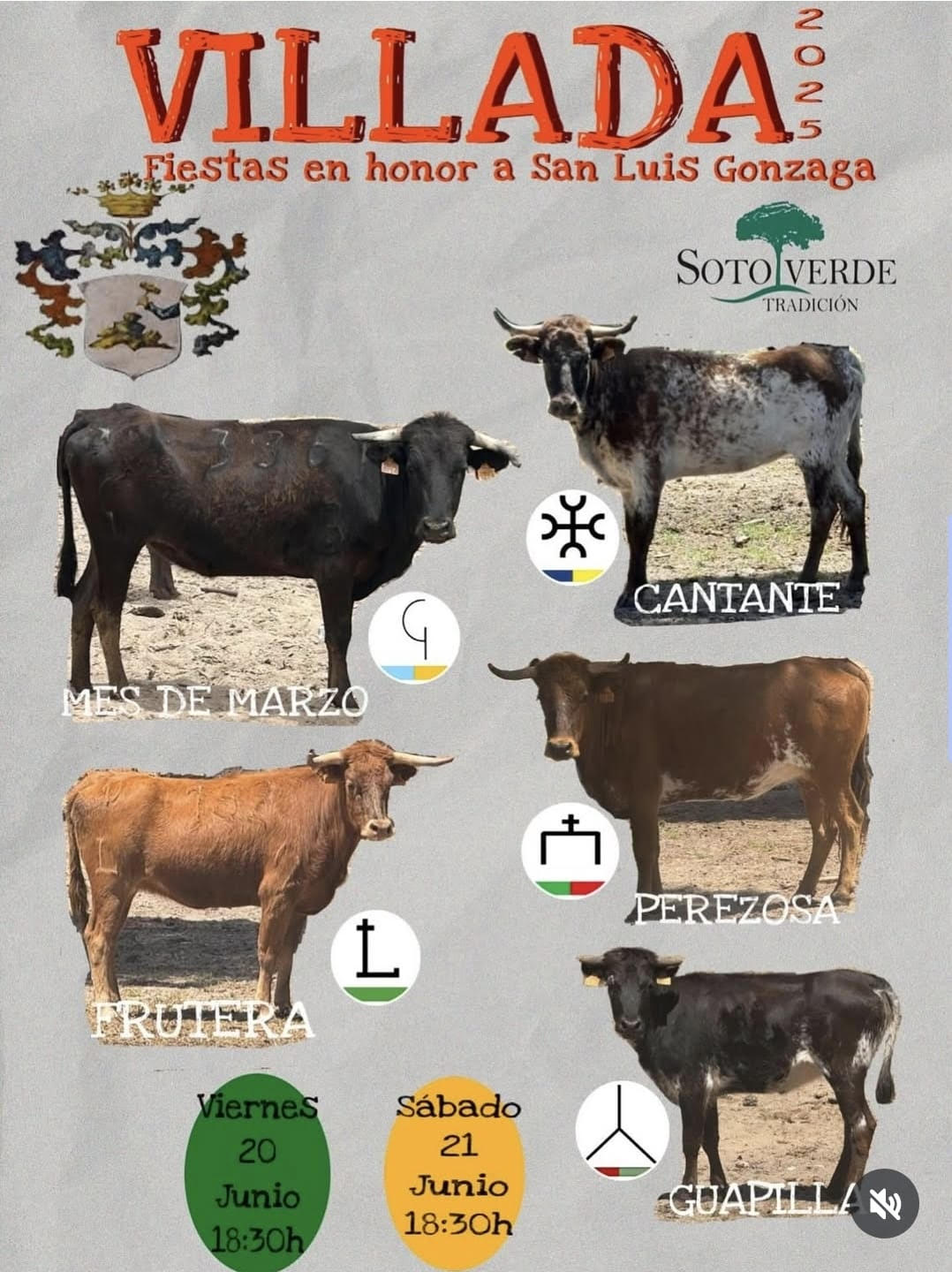 TOROS VILLADA 20 Y 21 DE JUNIO 2025