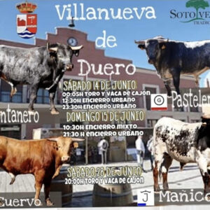 TOROS VILLANUEVA DE DUERO 14 Y 15 DE JUNIO 2025