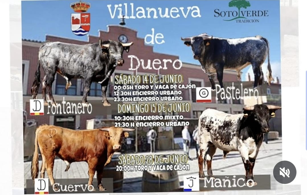TOROS VILLANUEVA DE DUERO 28 JUNIO 2025
