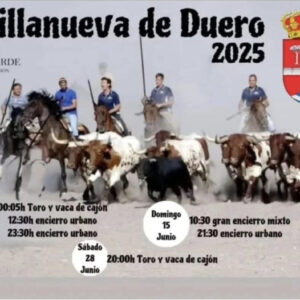 TOROS-VILLANUEVA-DE-DUERO-28-JUNIO-2025