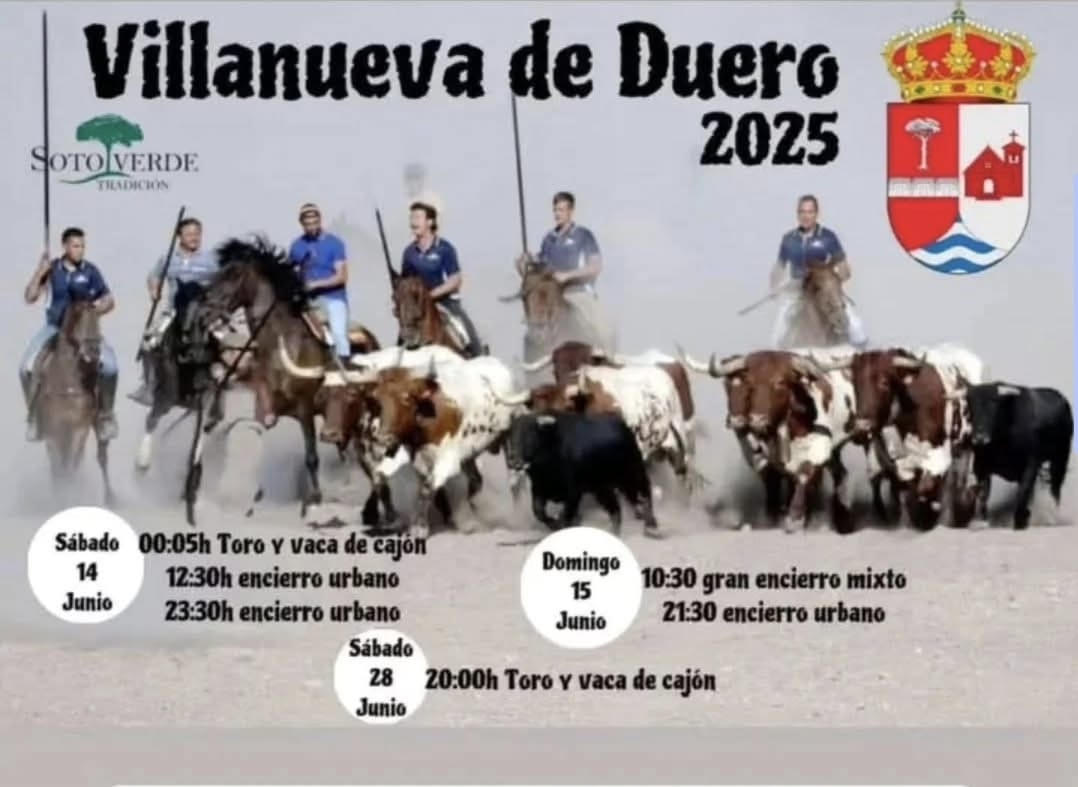 TOROS-VILLANUEVA-DE-DUERO-28-JUNIO-2025
