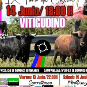 TOROS-VITIGIDINO-14-JUNIO-2025