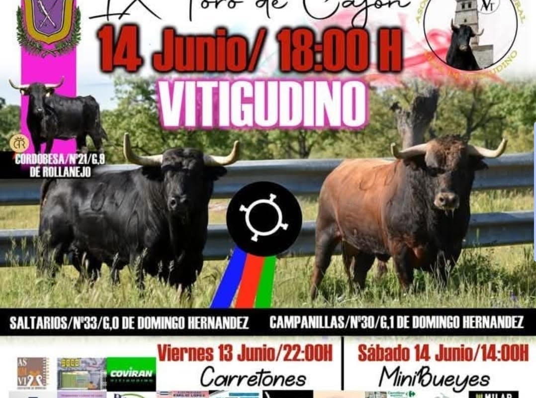 TOROS-VITIGIDINO-14-JUNIO-2025