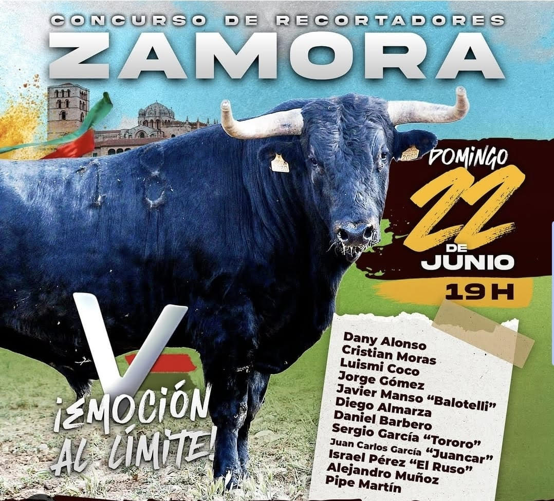 TOROS ZAMORA 22 JUNIO 2025