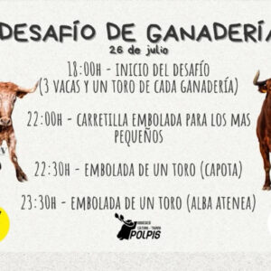 TOROS DESAFIO GANADERIAS 26 JULIO 2025