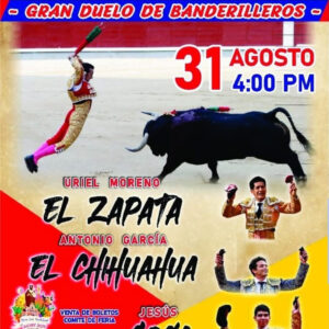 TOROS PLAZA DE TOROS SAN BARTOLOMÉ 31 AGOSTO 2025