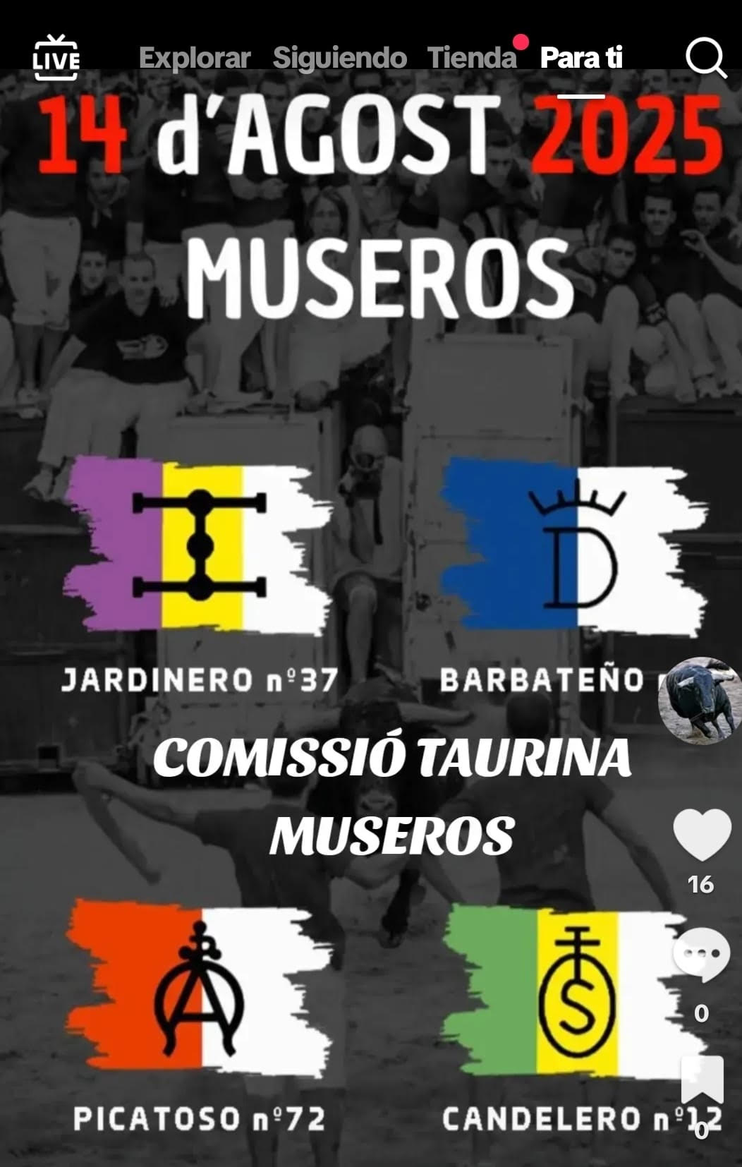 "TOROS 14 AGOSTO MUSEROS 2025"