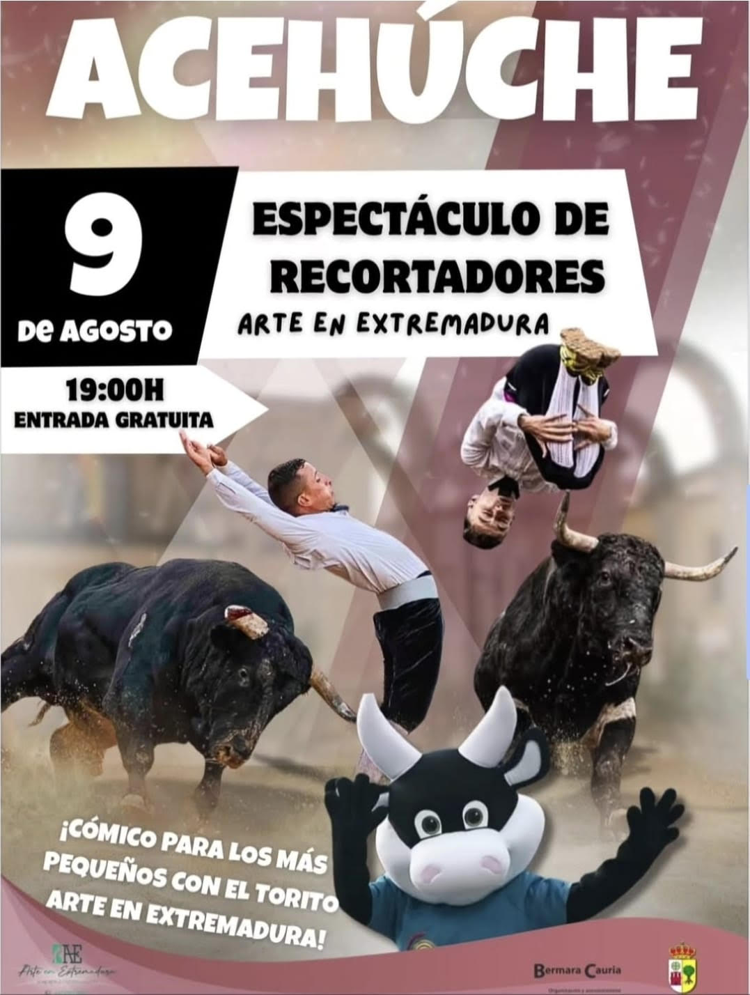 TOROS ACEHUCHE 9 DE AGOSTO 2025