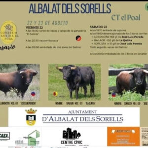 TOROS ALBALAT DELS SORELLS 22 Y 23 DE AGOSTO 2025