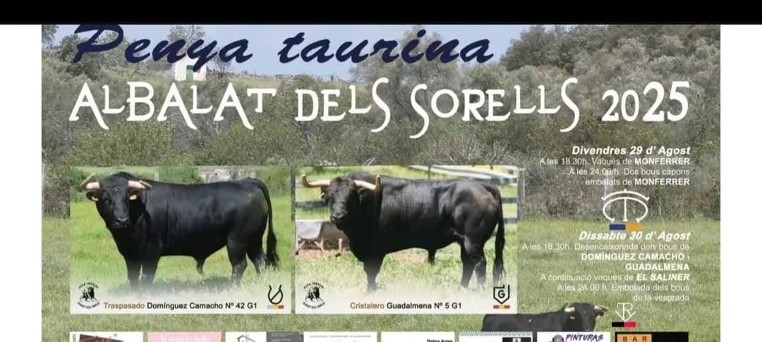 TOROS ALBALAT DELS SORELLS 29 AGOSTO 2025