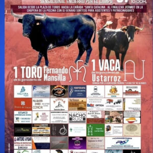 TOROS ALBARES 27 JULIO 2025