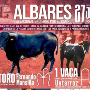 TOROS ALBARES 27 JULIO 2025
