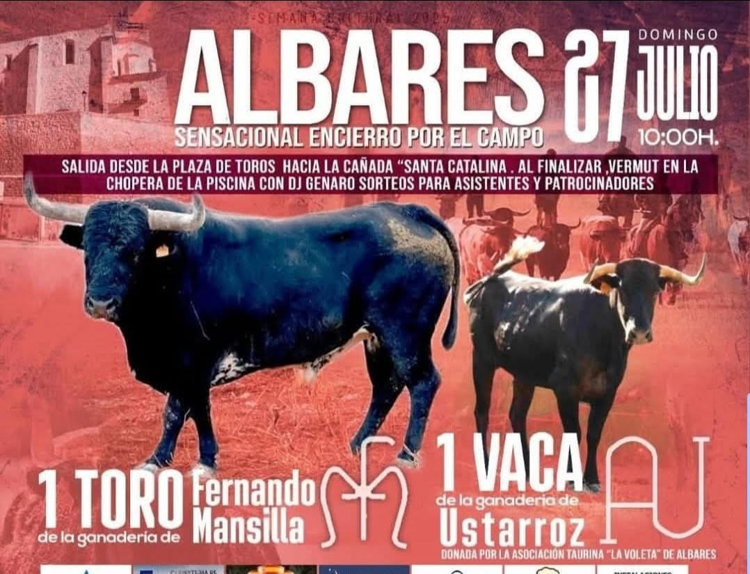 TOROS ALBARES 27 JULIO 2025