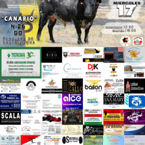 TOROS ALCALÁ DE HENARES 17 DE SEPTIEMBRE DE 2025