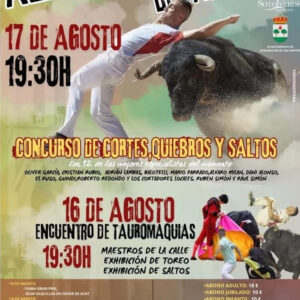 TOROS ALDEAMAYOR 17 DE AGOSTO DE 2025