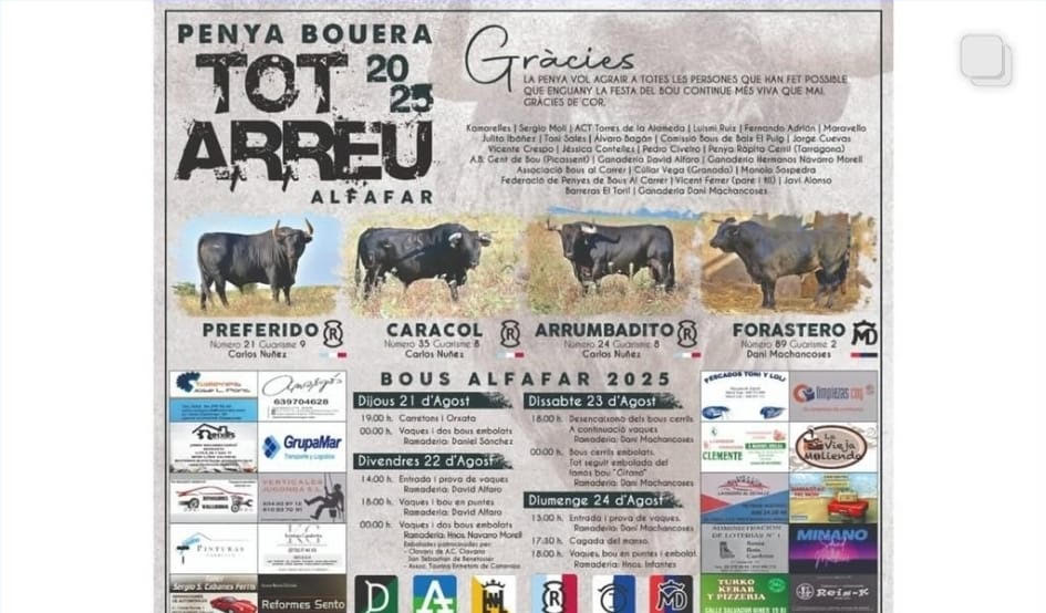 TOROS ALFAFAR 21 22 23 Y 24 AGOSTO 2025