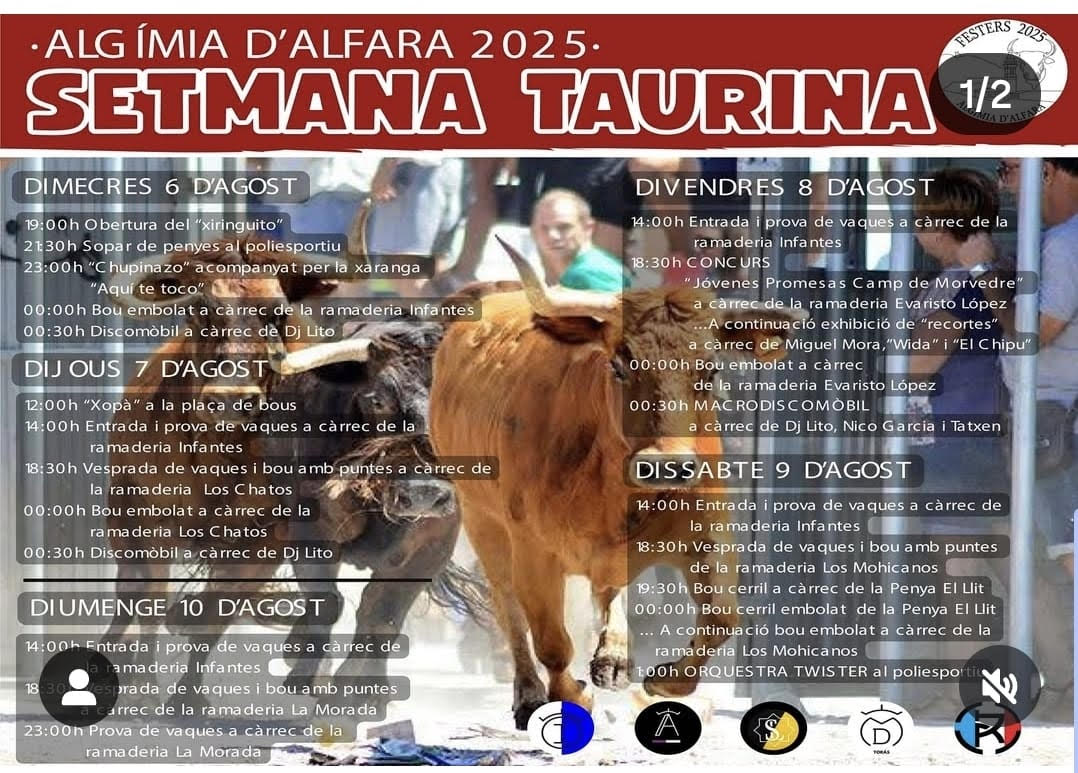 TOROS ALGIMIA DE ALFARA DEL 6 AL 9 DE AGOSTO 2025