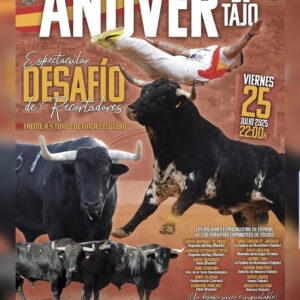 "TOROS AÑOVER 25 JULIO 2025"