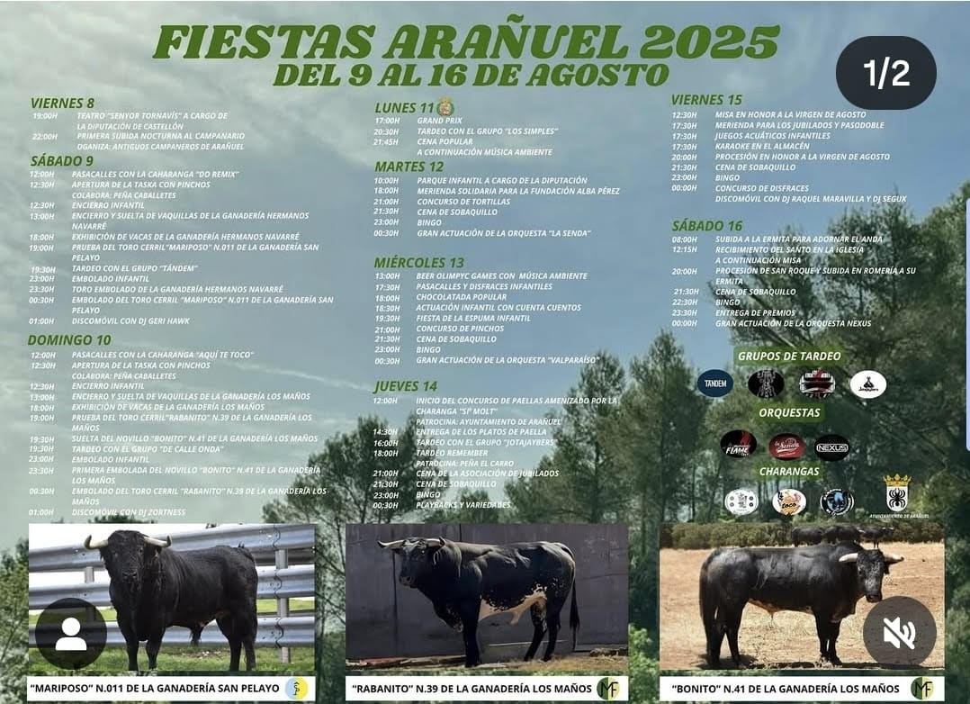 TOROS ARAÑUEL DEL 9 AL 16 DE AGOSTO 2025