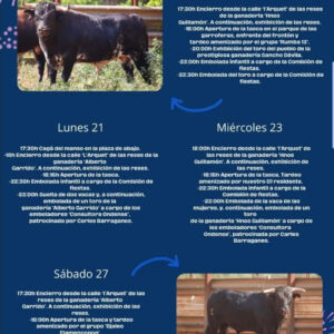 TOROS ARTESA 21 JULIO 2025