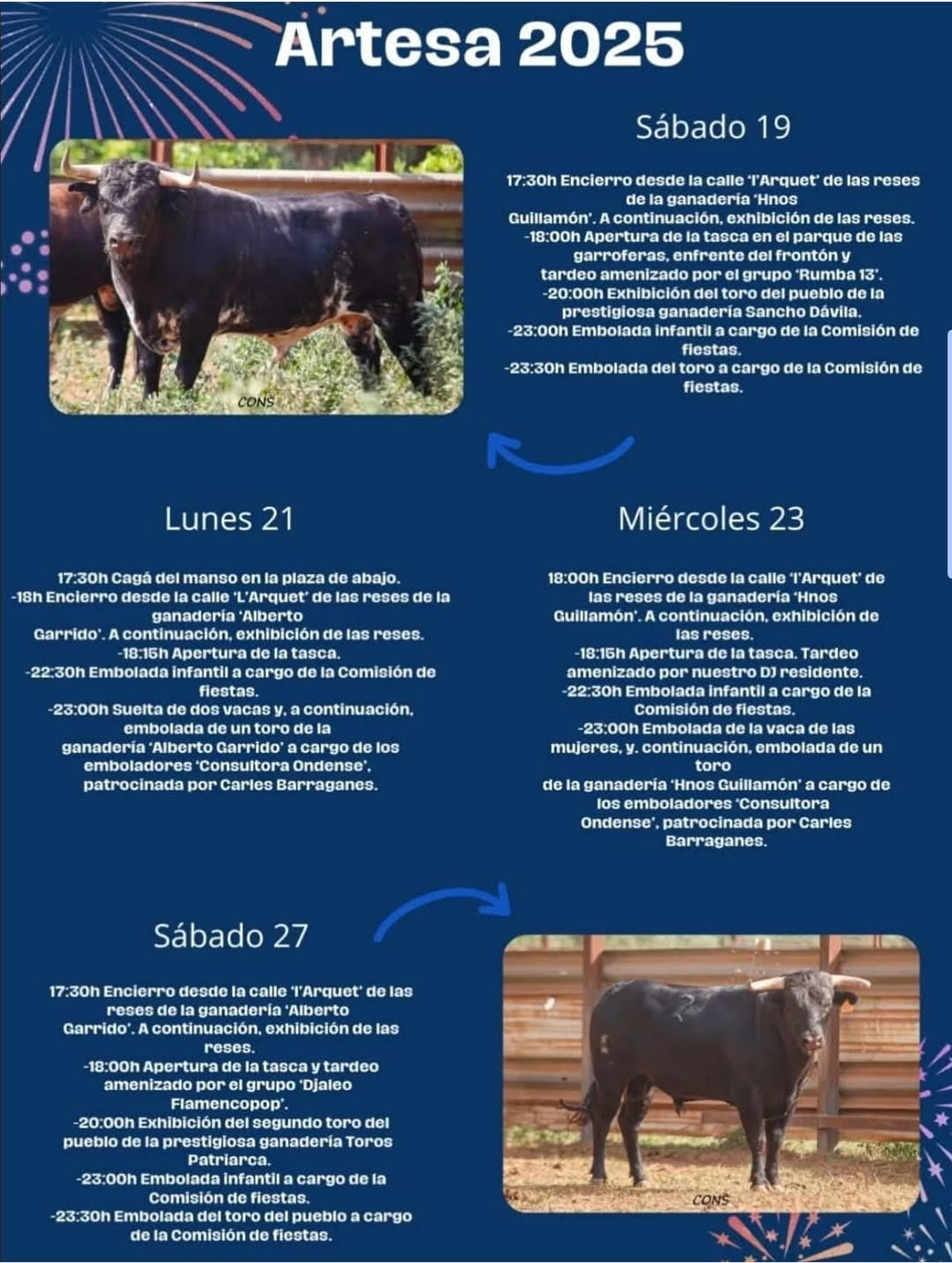 TOROS ARTESA 27 JULIO 2025