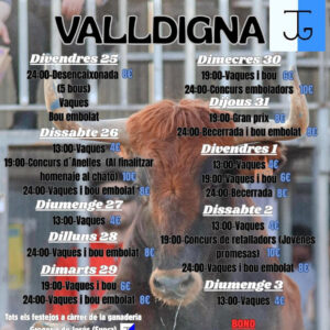 "TOROS BENIFAIRO DE LA VALLDIGNA DEL 25 DE JULIO AL 3 AGOSTO 2025"