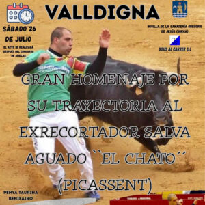 TOROS BENIFAIRO DE LA VALLDIGNA DEL 26 DE JULIO 2025"