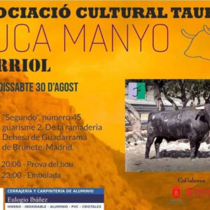 TOROS BORRIOL 30 AGOSTO 2025