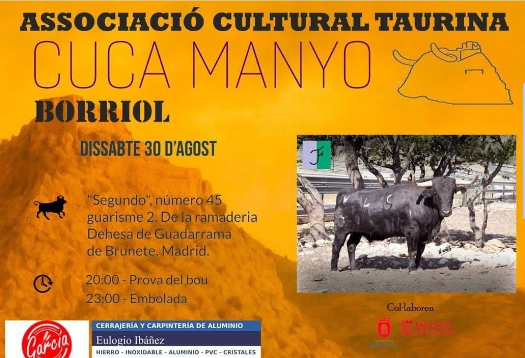TOROS BORRIOL 30 AGOSTO 2025