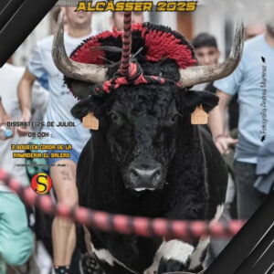 TOROS BOU EN CORDA 26 JULIO 2025
