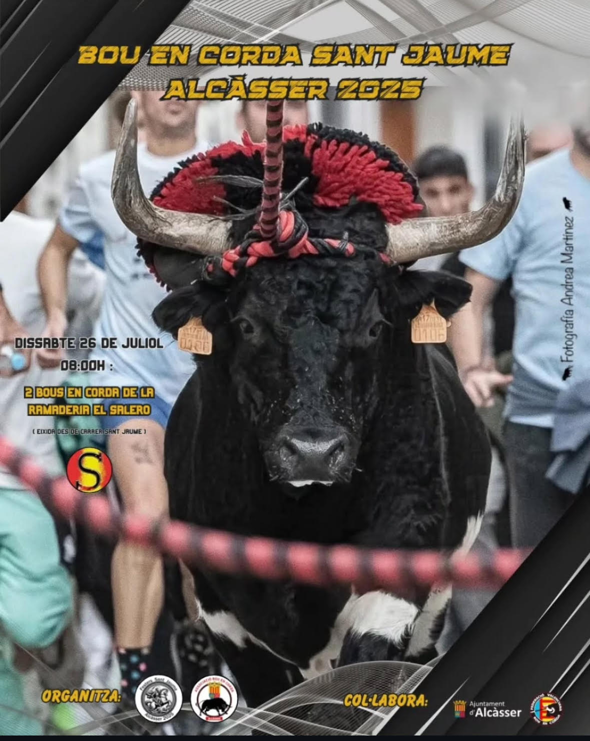 TOROS BOU EN CORDA 26 JULIO 2025