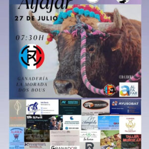 TOROS BOU EN CORDA 27 JULIO 2025
