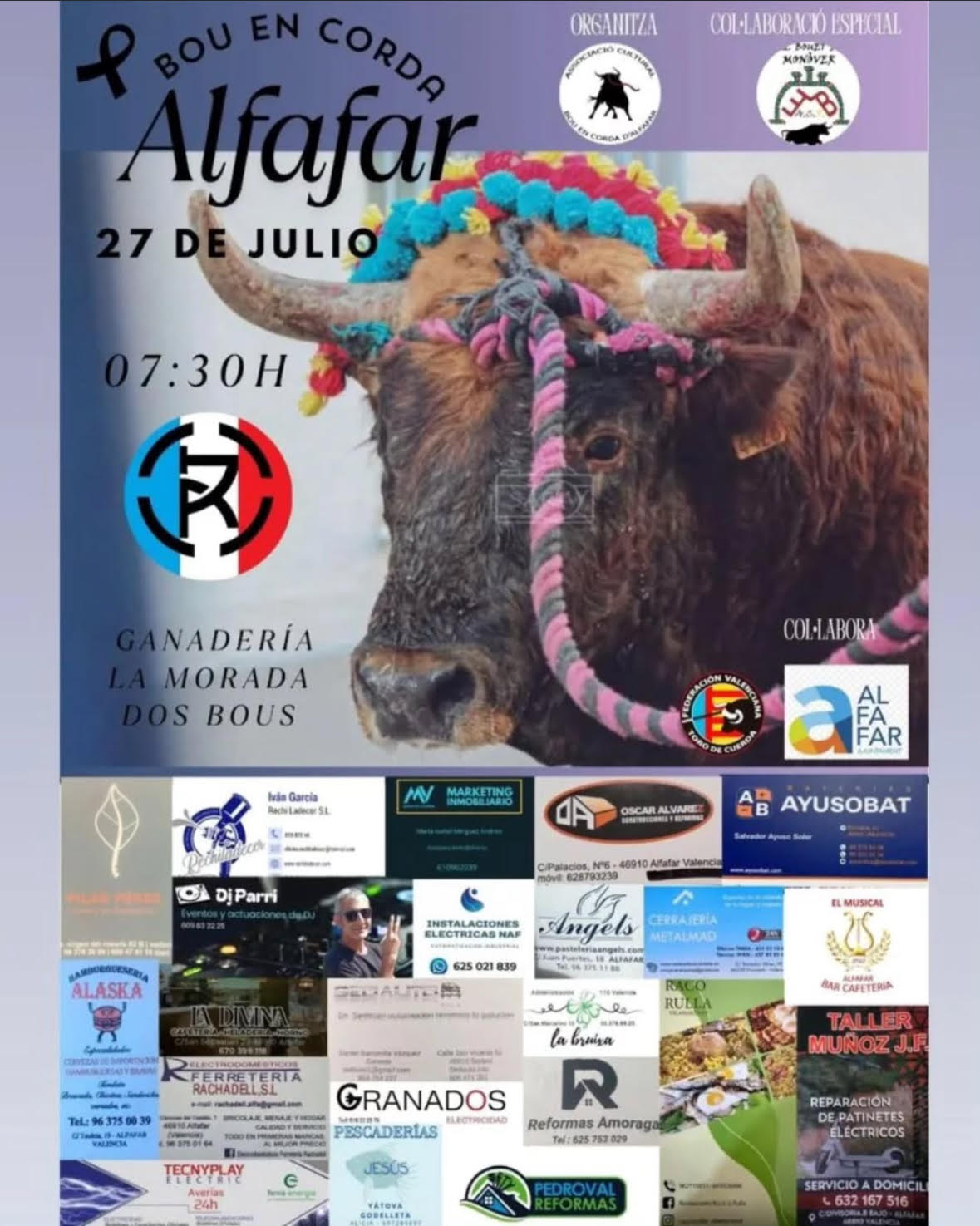 TOROS BOU EN CORDA 27 JULIO 2025