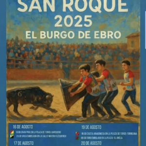 TOROS BURGOS DE EBRO 16 Y 17 AGOSTO 2025