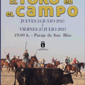 TOROS CABANILLAS DEL CAMPO 24 Y 25 DE JULIO 2025