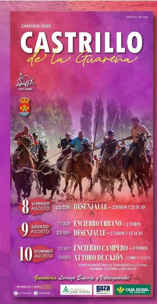 TOROS CASTRILLO 8 9 Y 10 DE AGOSTO 2025"