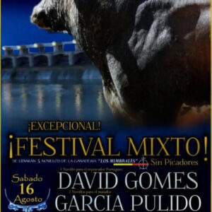 TOROS CAZALEGAS 16 DE AGOSTO DE 2025
