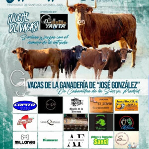 TOROS CHINCHON 24 JULIO 2025