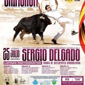 TOROS CHINCHON 25 JULIO 2025