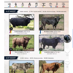 TOROS COMISIÓN TAURINA 14 DE AGOSTO 2025