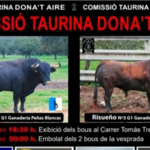 TOROS COMISSIO TAURINA DONAT AIRE 23 DE AGOSTO DE 2025"
