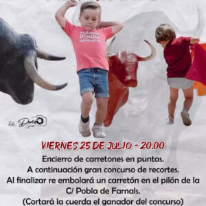 TOROS CONCURSO DE CARRETONES PUÇOL 25 JULIO 2025