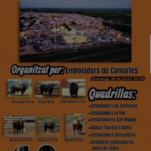 TOROS CONCURSO DE EMBOLADORES CAMARLE 20 JULIO 2025