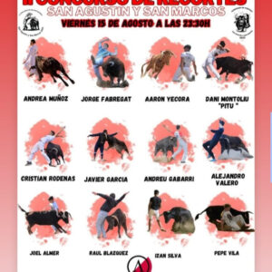 TOROS CONCURSO DE RECORTES 15 DE AGOSTO DE 2025